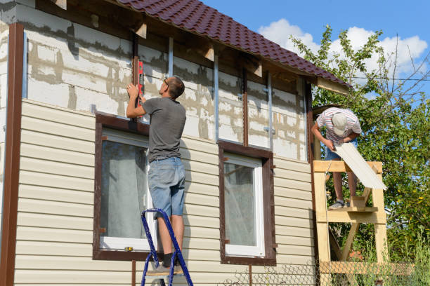 Best Custom Siding Design  in USA